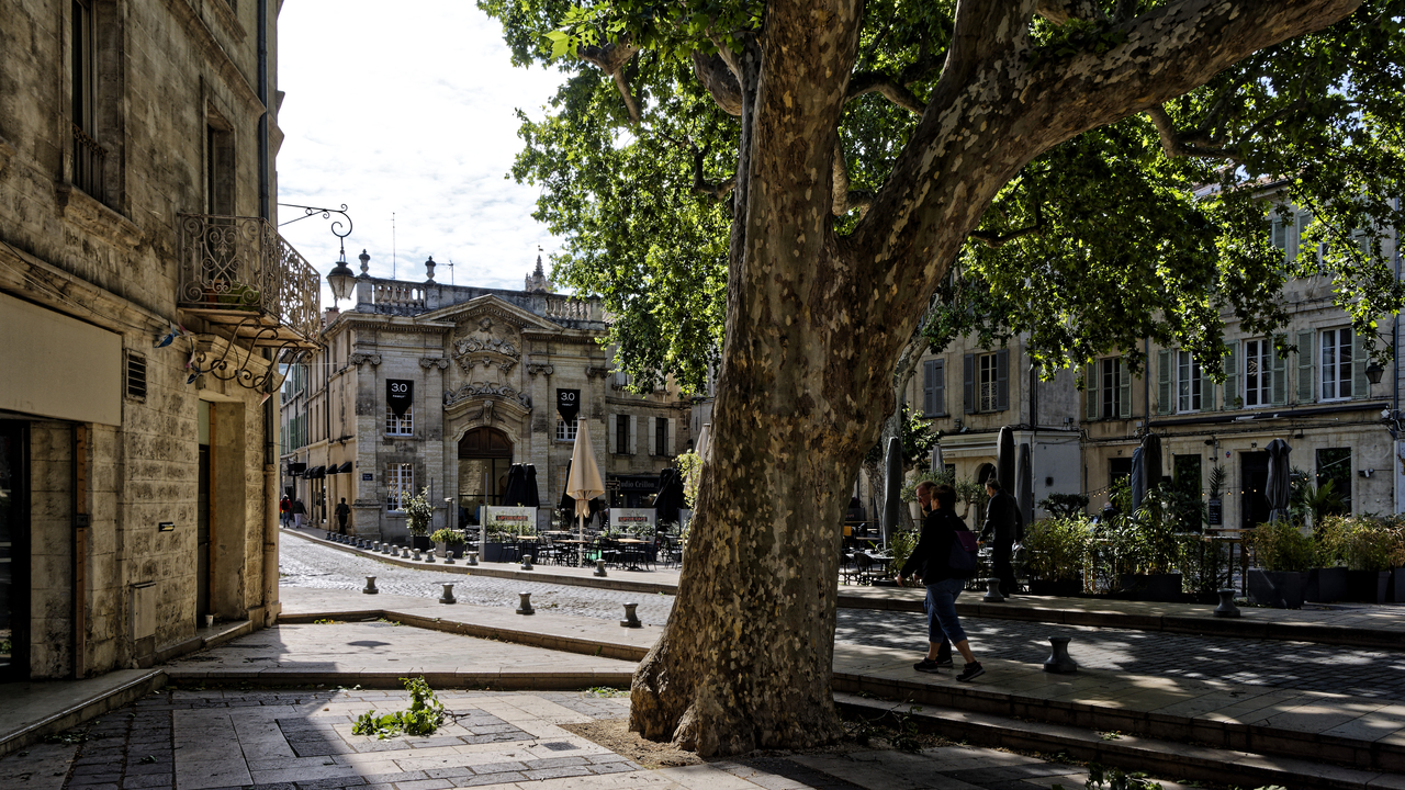 20230517 103749•Avignon•Provence-Alpes-Cote d'Azur•France